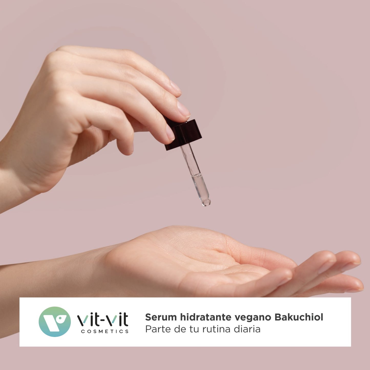 520e4cdbc54c48823a6aedf6751d4566